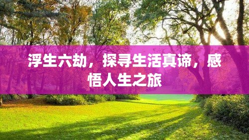 浮生六劫，探寻生活真谛，感悟人生之旅