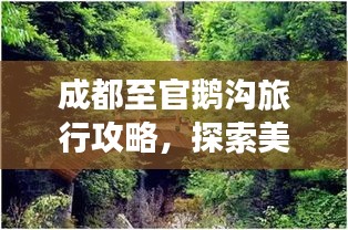 成都至官鹅沟旅行攻略，探索美景，尽享魅力之旅！