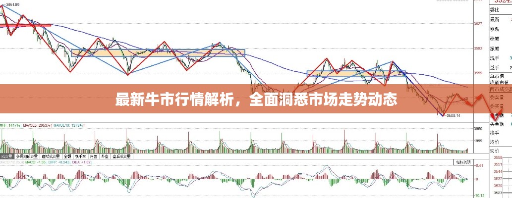最新牛市行情解析，全面洞悉市场走势动态