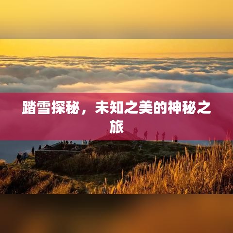 踏雪探秘，未知之美的神秘之旅