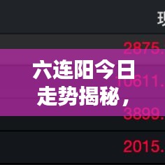 六连阳今日走势揭秘，最新动态一网打尽