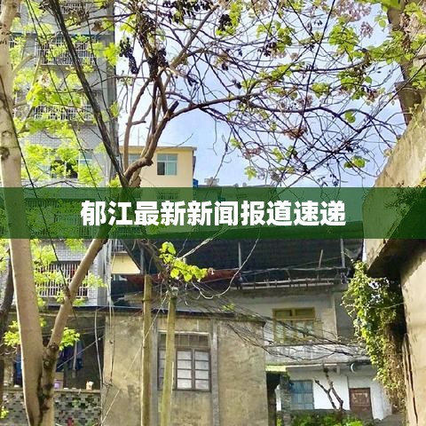 郁江最新新闻报道速递