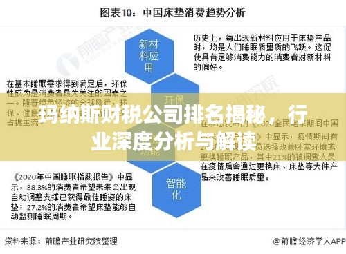 玛纳斯财税公司排名揭秘，行业深度分析与解读