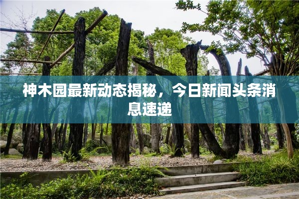 神木园最新动态揭秘，今日新闻头条消息速递