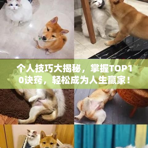 个人技巧大揭秘，掌握TOP10诀窍，轻松成为人生赢家！
