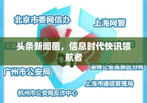 头条新闻菌，信息时代快讯领航者