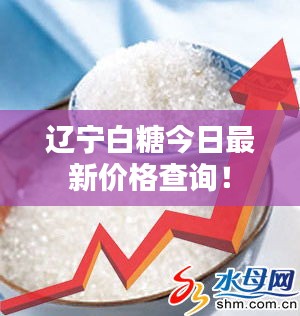 辽宁白糖今日最新价格查询！
