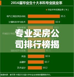 专业买房公司排行榜揭晓，行业领军者与引领者全揭秘
