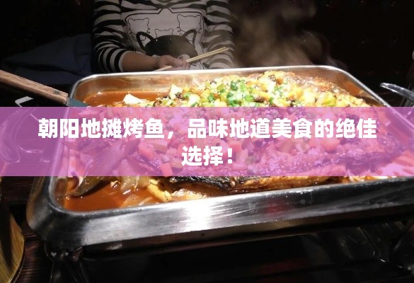 朝阳地摊烤鱼，品味地道美食的绝佳选择！