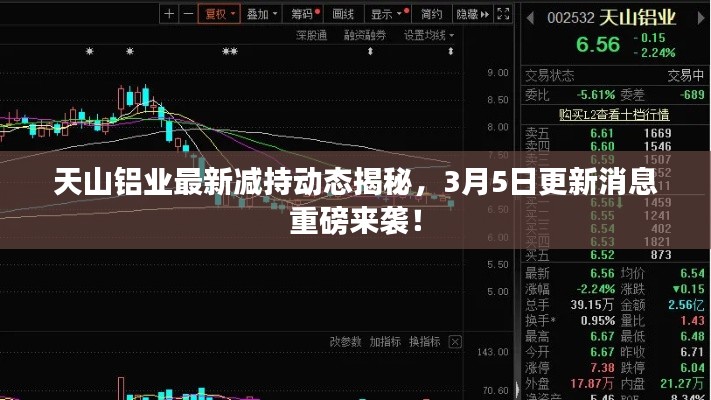 天山铝业最新减持动态揭秘，3月5日更新消息重磅来袭！
