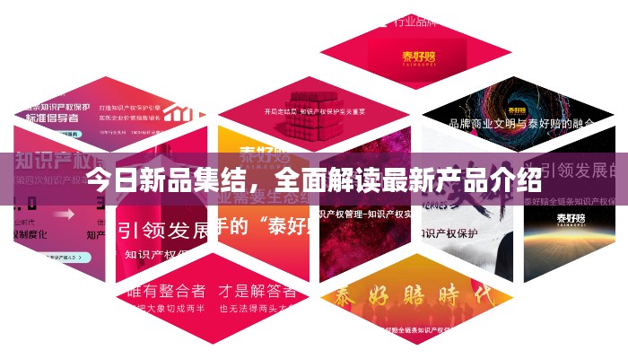 今日新品集结，全面解读最新产品介绍