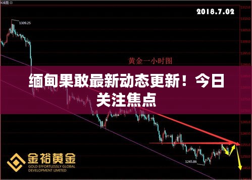 缅甸果敢最新动态更新！今日关注焦点