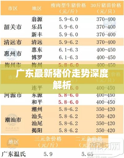 广东最新猪价走势深度解析
