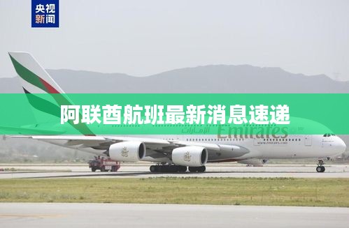 阿联酋航班最新消息速递