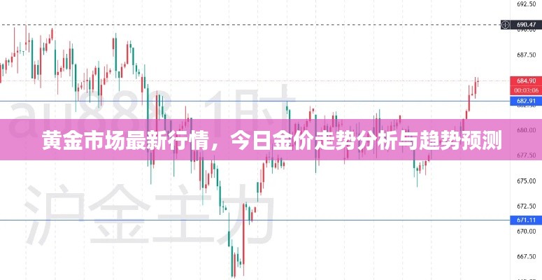 黄金市场最新行情，今日金价走势分析与趋势预测