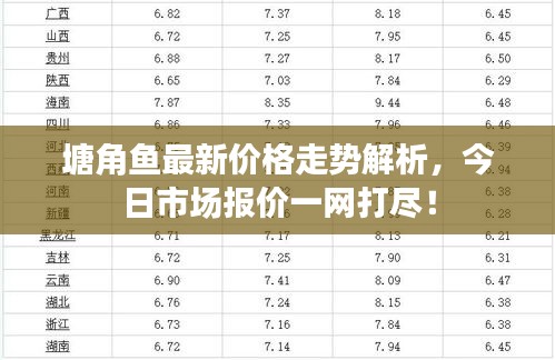 塘角鱼最新价格走势解析，今日市场报价一网打尽！