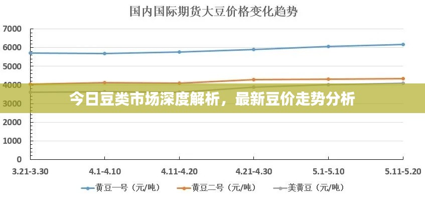 今日豆类市场深度解析，最新豆价走势分析