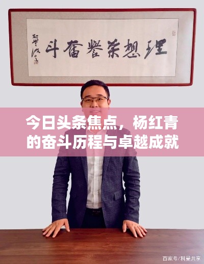 今日头条焦点，杨红青的奋斗历程与卓越成就