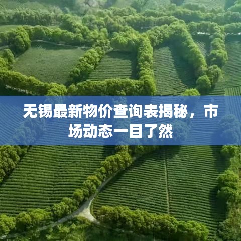 无锡最新物价查询表揭秘，市场动态一目了然