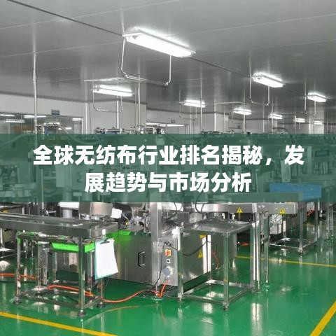 全球无纺布行业排名揭秘，发展趋势与市场分析