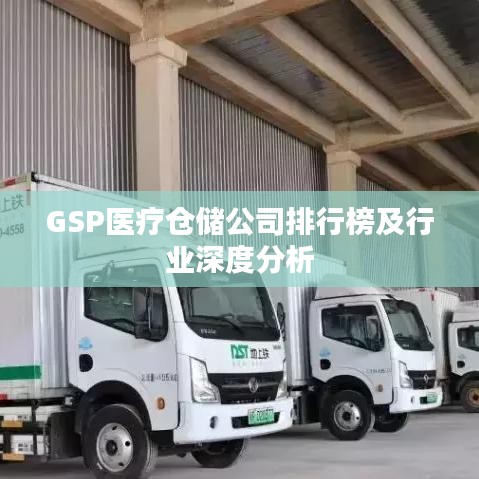 GSP医疗仓储公司排行榜及行业深度分析