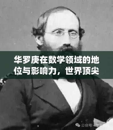 华罗庚在数学领域的地位与影响力，世界顶尖数学家的卓越成就