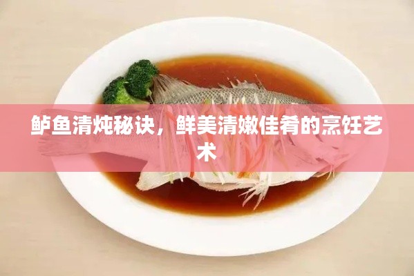 鲈鱼清炖秘诀，鲜美清嫩佳肴的烹饪艺术