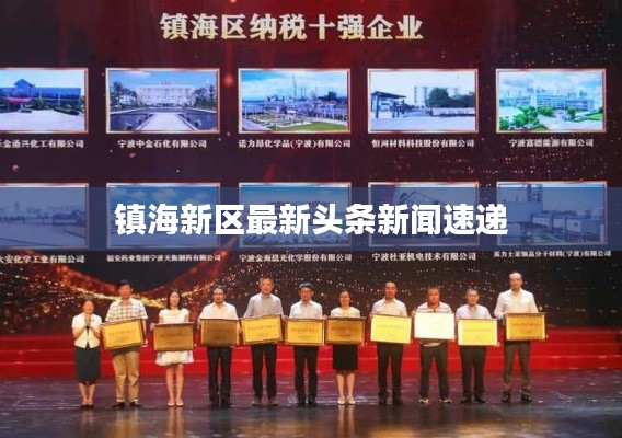 镇海新区最新头条新闻速递