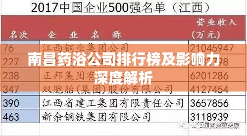南昌药浴公司排行榜及影响力深度解析