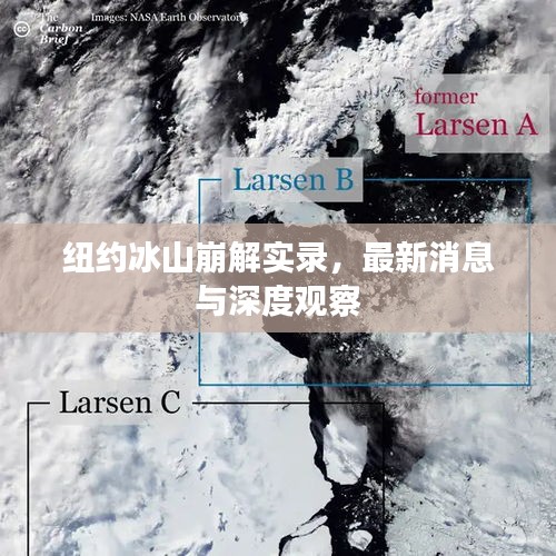 纽约冰山崩解实录，最新消息与深度观察