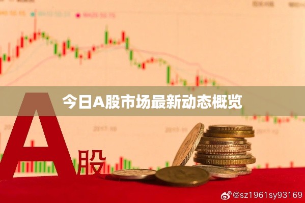 今日A股市场最新动态概览