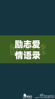 励志爱情语录短句集锦
