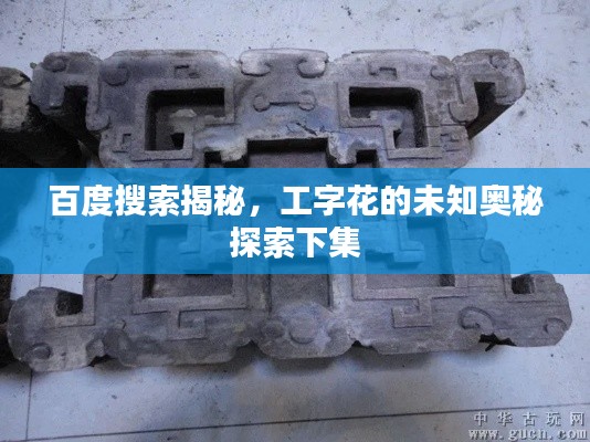 百度搜索揭秘，工字花的未知奥秘探索下集