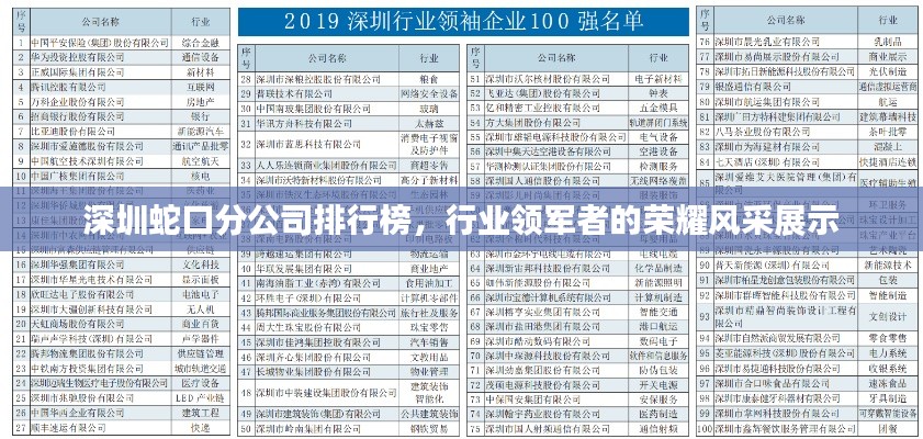 深圳蛇口分公司排行榜，行业领军者的荣耀风采展示