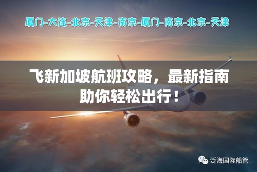 飞新加坡航班攻略，最新指南助你轻松出行！