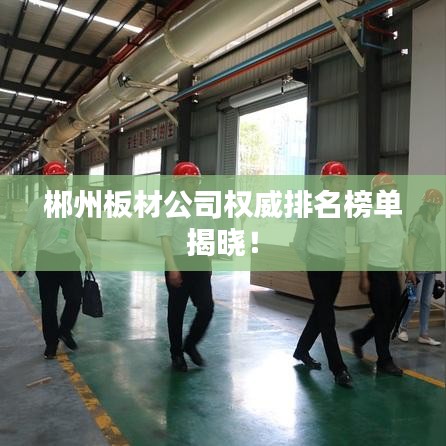郴州板材公司权威排名榜单揭晓！
