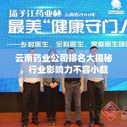 云南药业公司排名大揭秘，行业影响力不容小觑