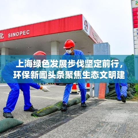 上海绿色发展步伐坚定前行，环保新闻头条聚焦生态文明建设