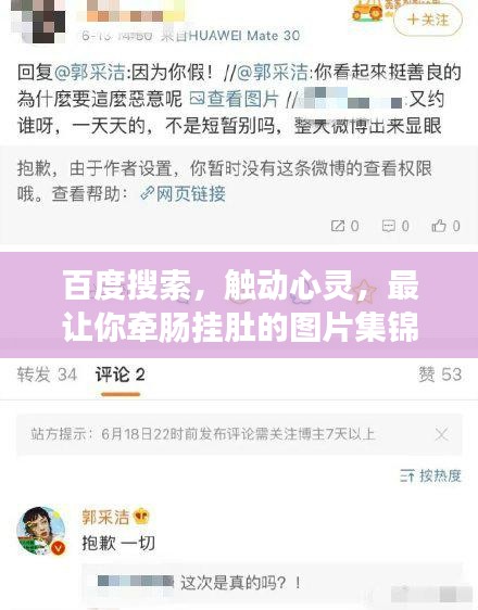百度搜索，触动心灵，最让你牵肠挂肚的图片集锦