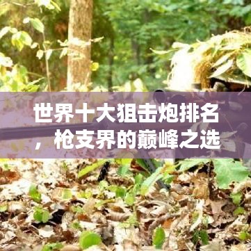 世界十大狙击炮排名，枪支界的巅峰之选