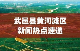 武邑县黄河滩区新闻热点速递