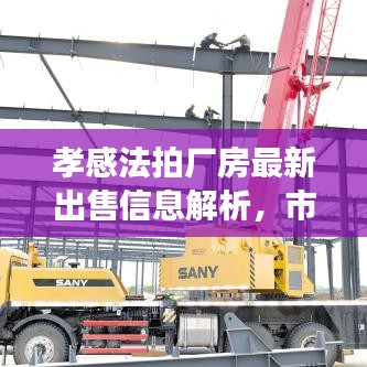 孝感法拍厂房最新出售信息解析，市场现状深度解读与趋势预测