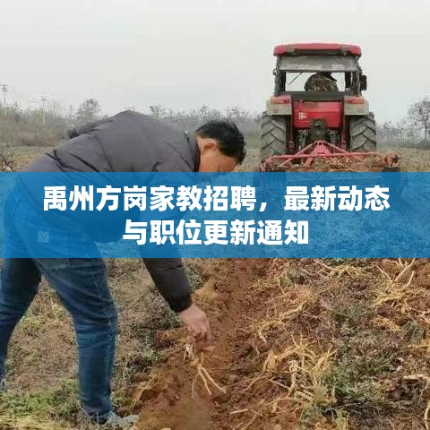 禹州方岗家教招聘，最新动态与职位更新通知