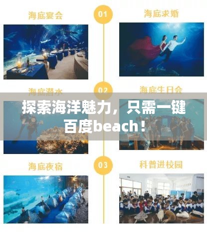 探索海洋魅力，只需一键百度beach！