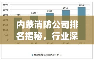 内蒙消防公司排名揭秘，行业深度分析与前景展望