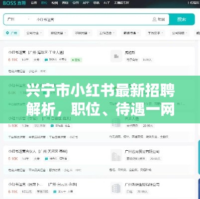 兴宁市小红书最新招聘解析，职位、待遇一网打尽