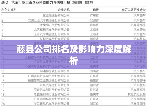 藤县公司排名及影响力深度解析