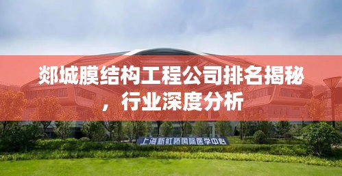 郯城膜结构工程公司排名揭秘，行业深度分析