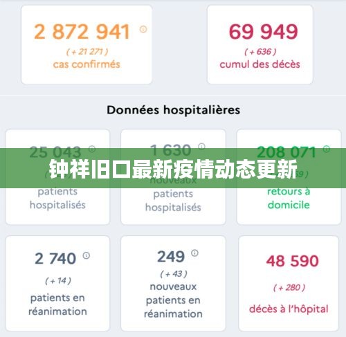 钟祥旧口最新疫情动态更新