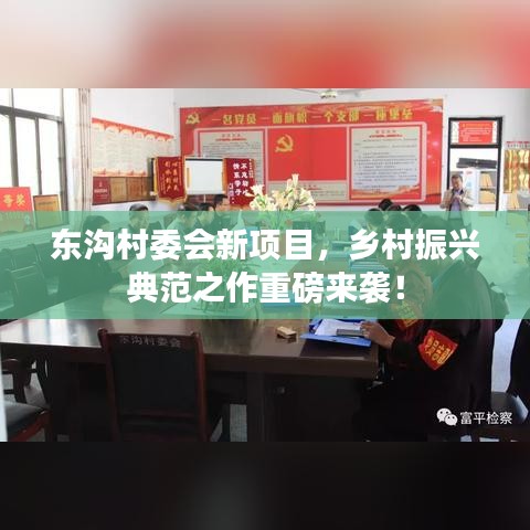 东沟村委会新项目，乡村振兴典范之作重磅来袭！